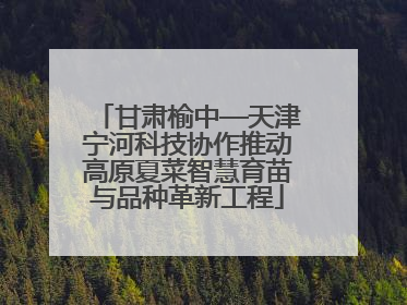 甘肃榆中—天津宁河科技协作推动高原夏菜智慧育苗与品种革新工程
